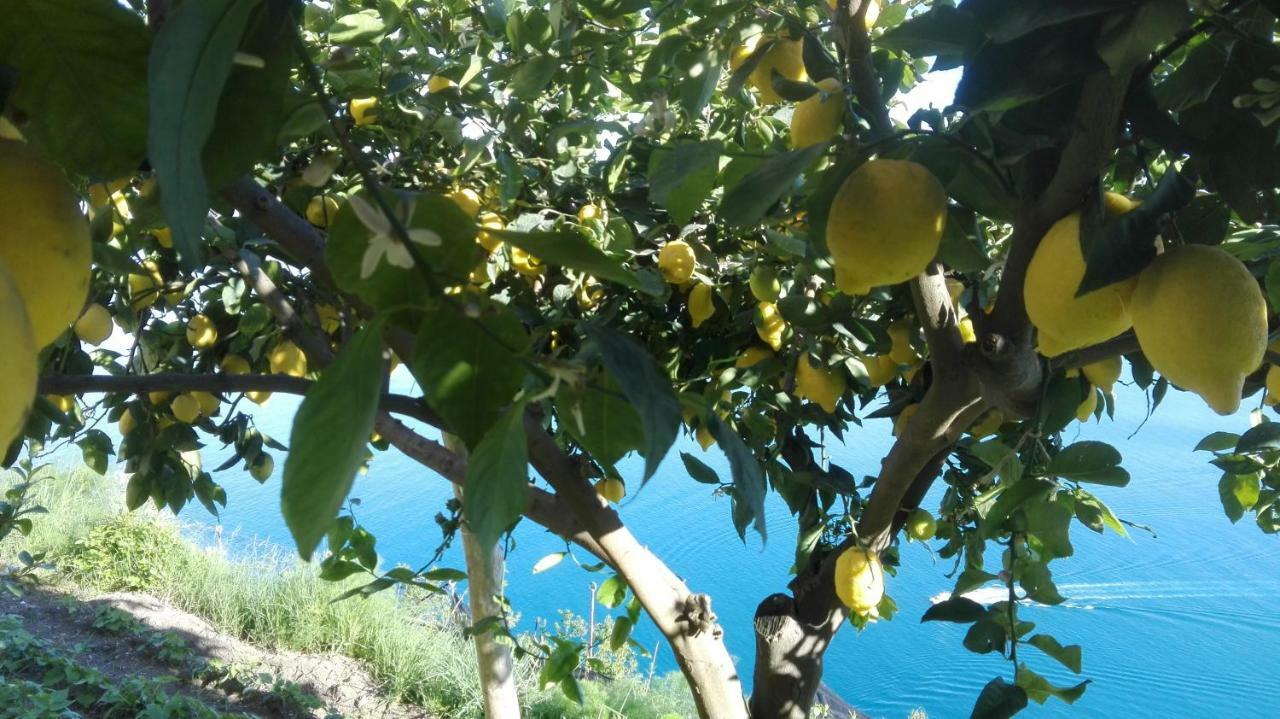 Villa The Guardian Of Amalfi Exterior foto